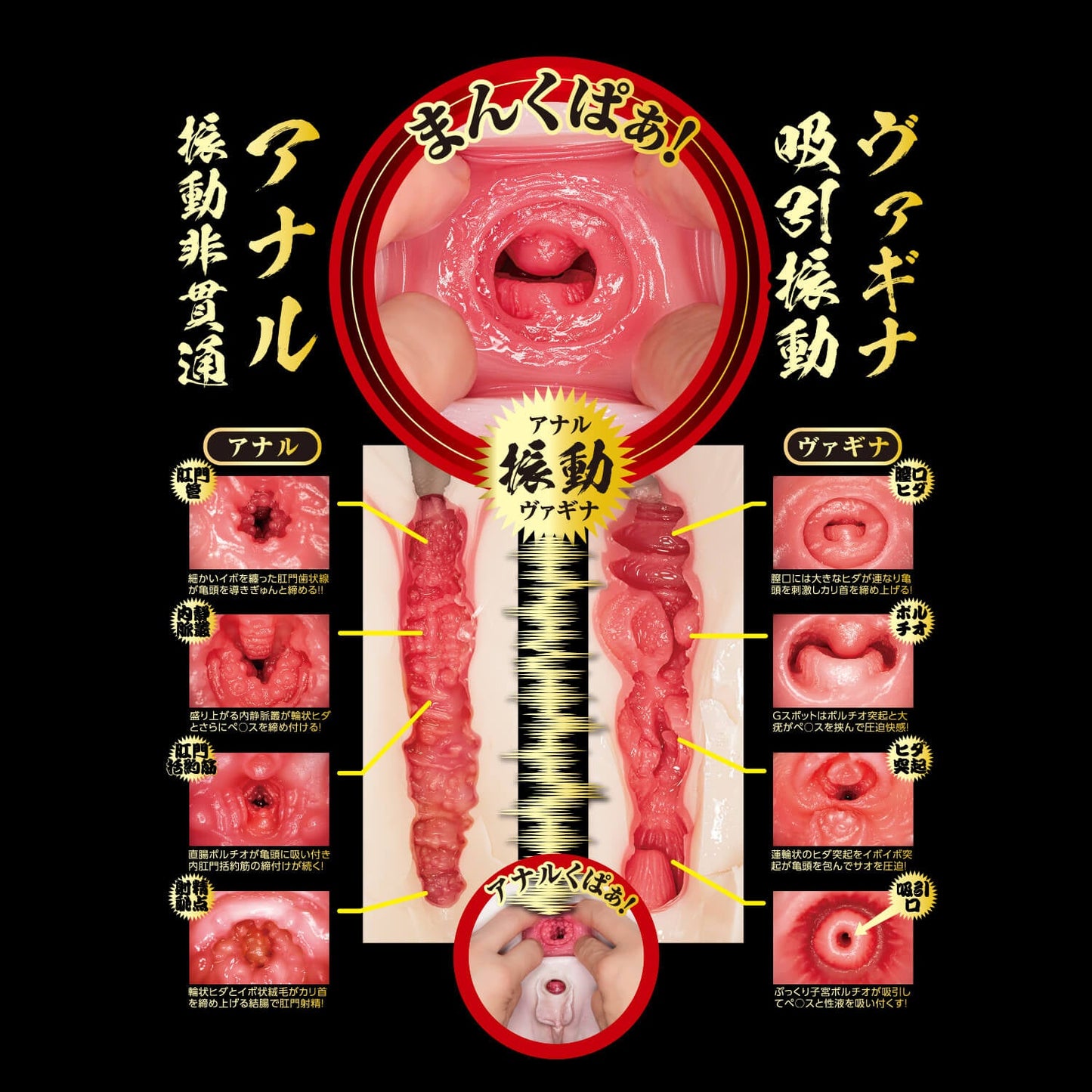 NPG-吸吮扭動 生腰名器 北野未奈