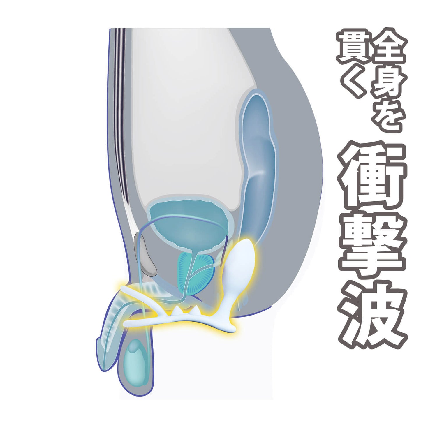 Toys Love ENEMAGRA Blast 灌腸鎖精環